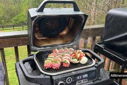 Ninja Woodfire Grill