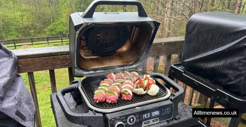 Ninja Woodfire Grill